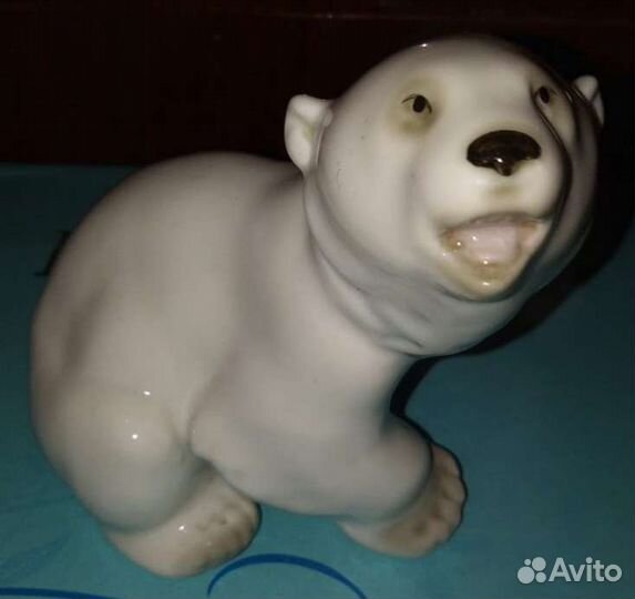 Белый медведь