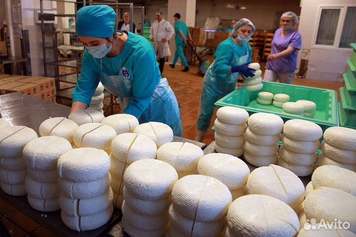 Разнорабочие с ежедневной оплатой (маслозавод)