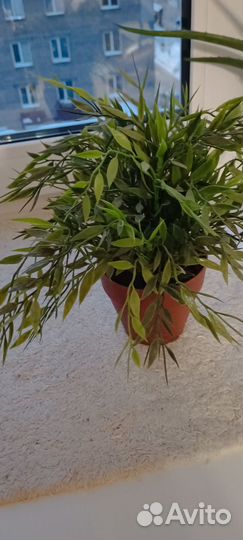 Искусственные цветы для декора (Икеа)