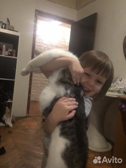 Няня ночная для грудничков 0+