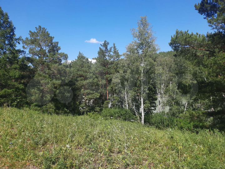 Участок 4,69 га (СНТ, ДНП)