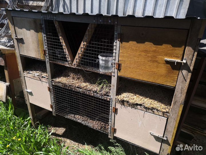 Клетки для кроликов