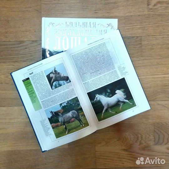Книги о лошадях
