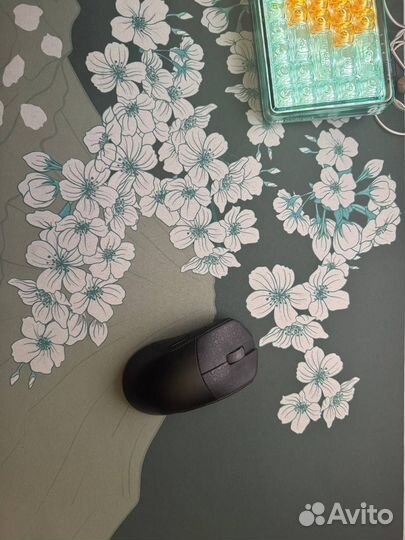 X raypad aqua control 2 XXL Sakura green