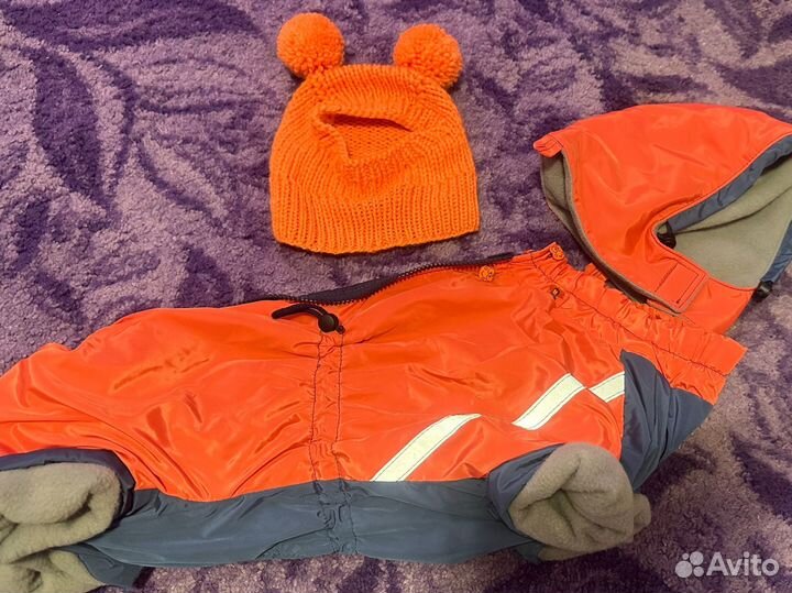 Костюм для собак средних пород