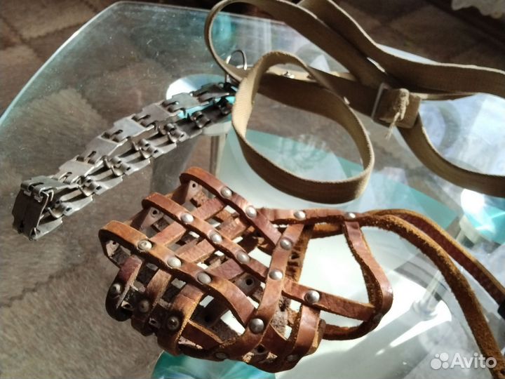 Намордник и строгий ошейник для собак