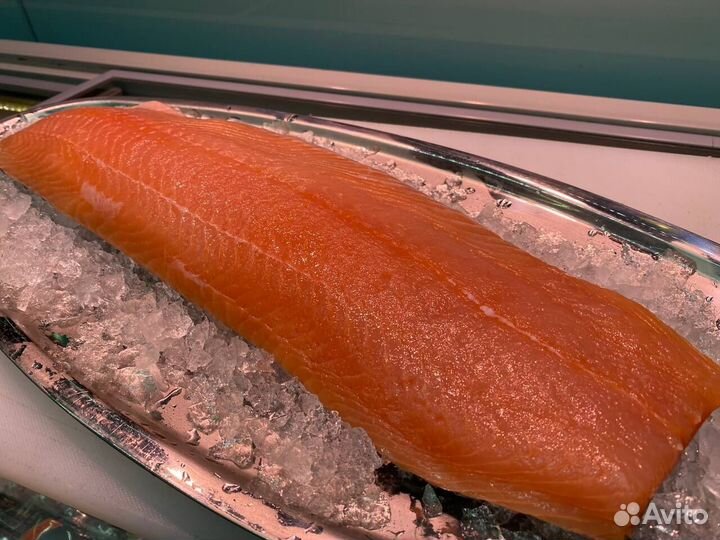 Лосось филе слабосолённый 2023г. Опт