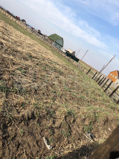 Участок 15 сот. (ИЖС)