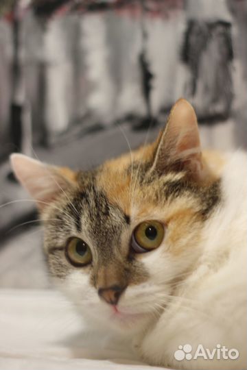 Бэтти в дар