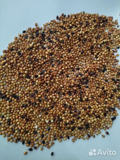 Сорго красное