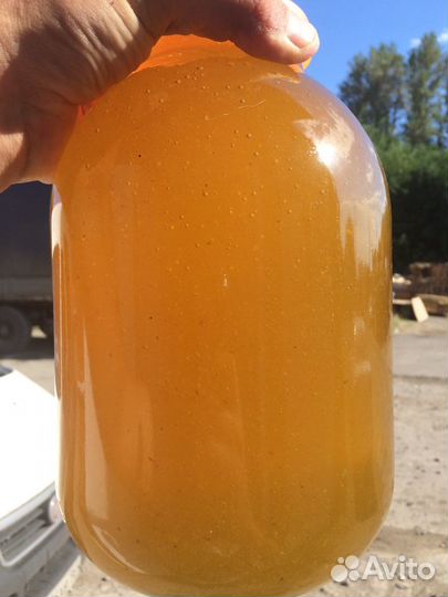 Мёд Майский