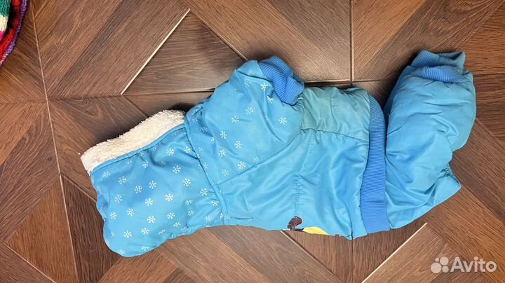 Одежда для маленьких собак