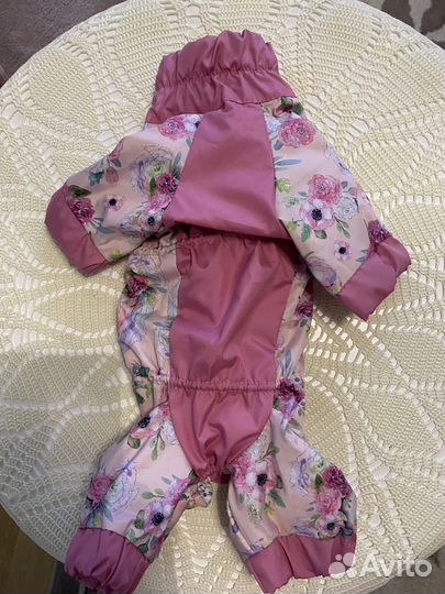 Одежда для собак мелких пород