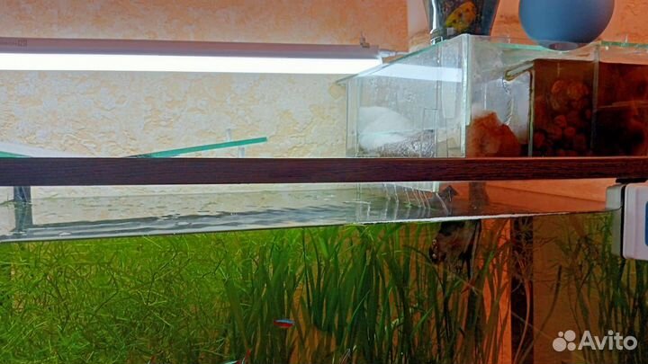 Аквариум с рыбками