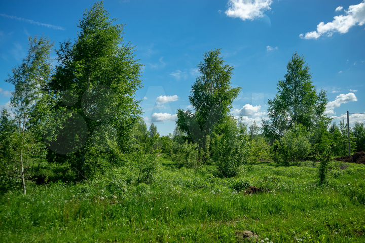 Участок 10 сот. (СНТ, ДНП)