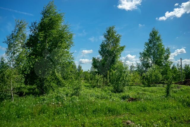 Участок 10 сот. (СНТ, ДНП)