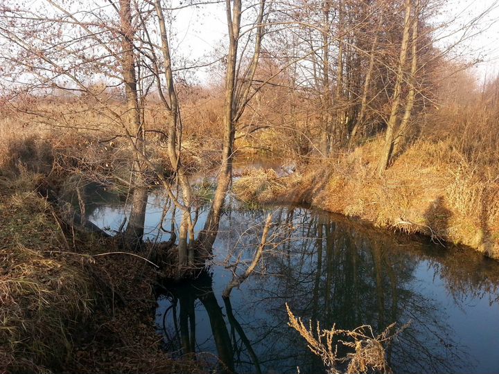 Участок 5 га (ИЖС)