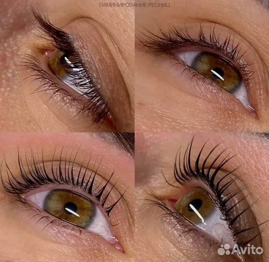 Мастер бровист