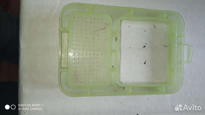 Морские ракушки, камни, градусник, кормушка