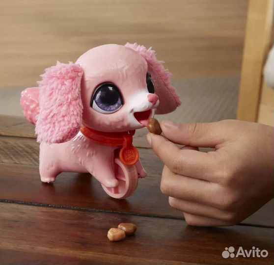 Littlest Pet Shop