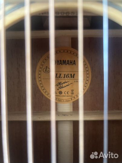 Yamaha LL16m