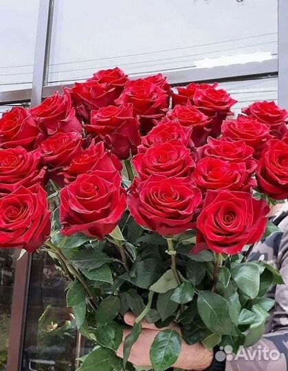Розы высокие Доставка цветов