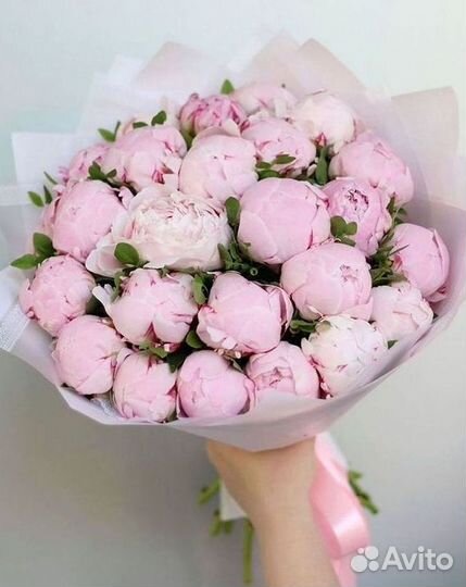 Пионы Розы Доставка