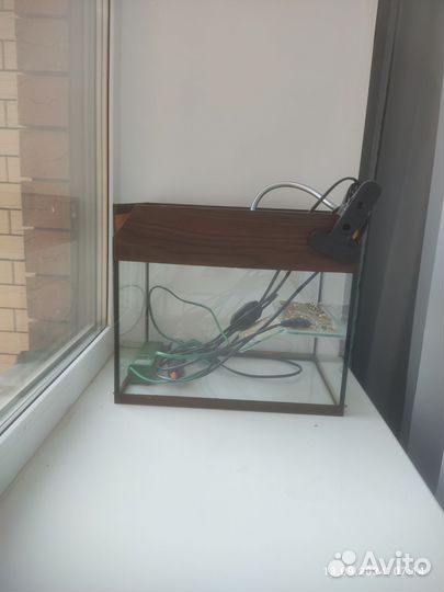 Аквариум