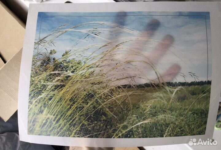 Калька для принтеров и плоттеров - HP C3868A в рул