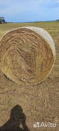 Сено в упаковке