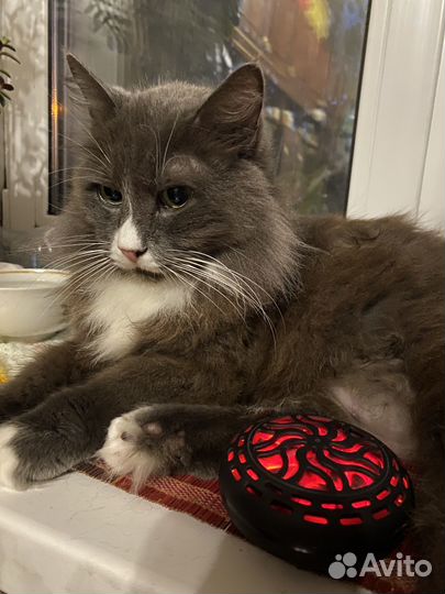 Грелка для рук ног 3600mah