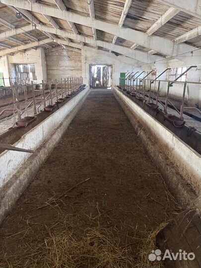 Животноводческая ферма продаю