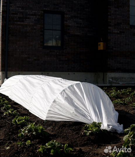 Парники теплицы