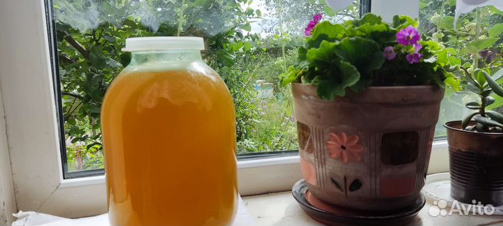 Мед с пасеки Булатовых