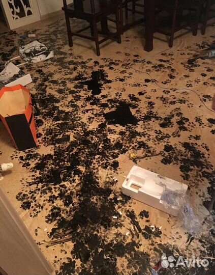 Зоопсихолог: кошки и собаки. С 1994 года