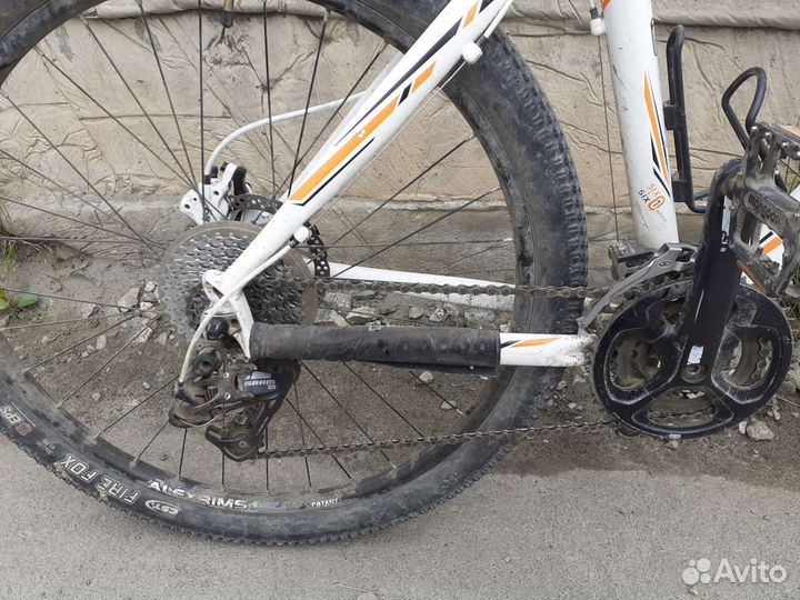 Mongoose tyax expert