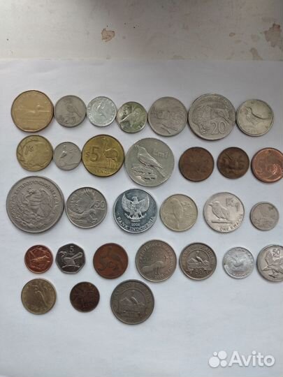 Монеты