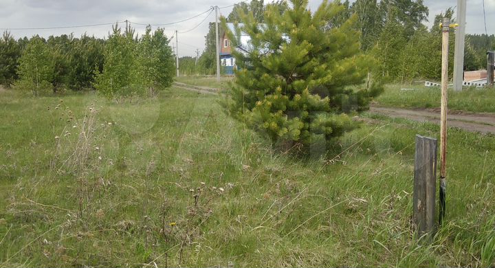 Участок 13 сот. (СНТ, ДНП)