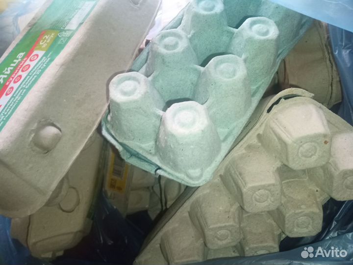 Тара для яиц