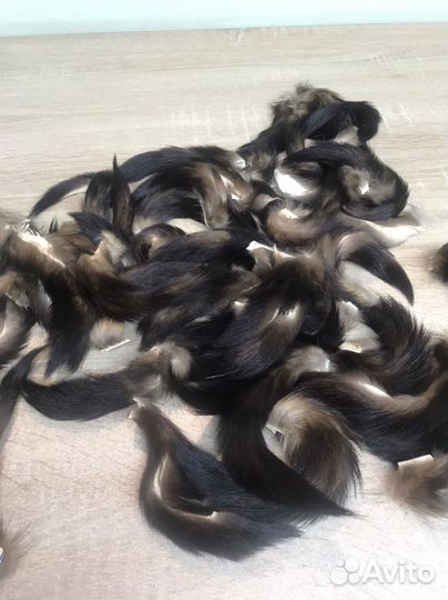 Хвостики лесной куницы