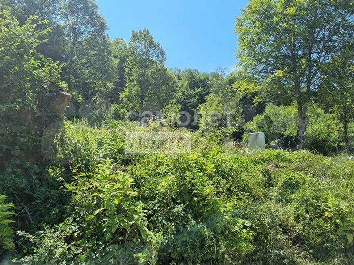 Участок 5,3 сот. (СНТ, ДНП)