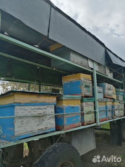 Пчелоприцеп