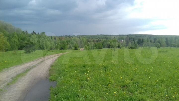 Участок 1,75 га (СНТ, ДНП)