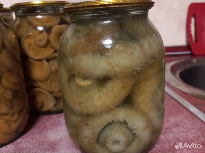 Грибы рыжики, грузди