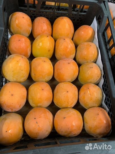 Овощи и фрукты оптом в розницу