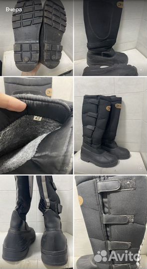 Термосапоги для конного спорта dafna p. 40 израиль