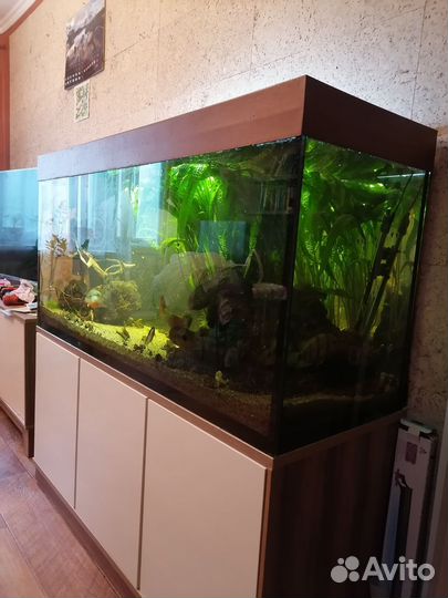 Аквариум с тумбой 300л