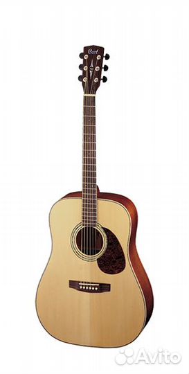 Cort earth100-NS-wbag