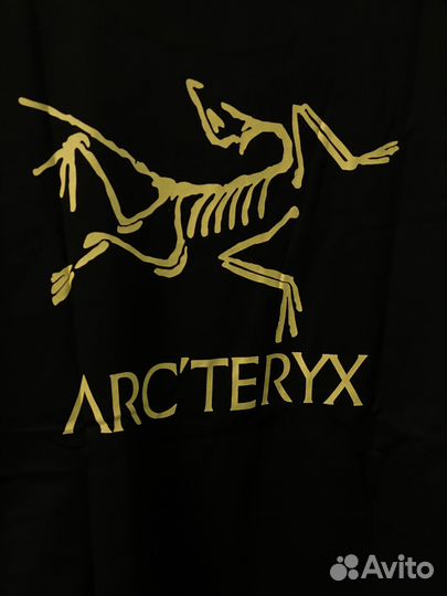 Arcteryx футболка