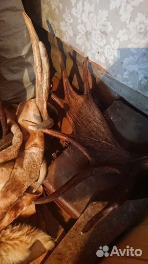 Материнская плата